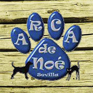 Arca de Noé